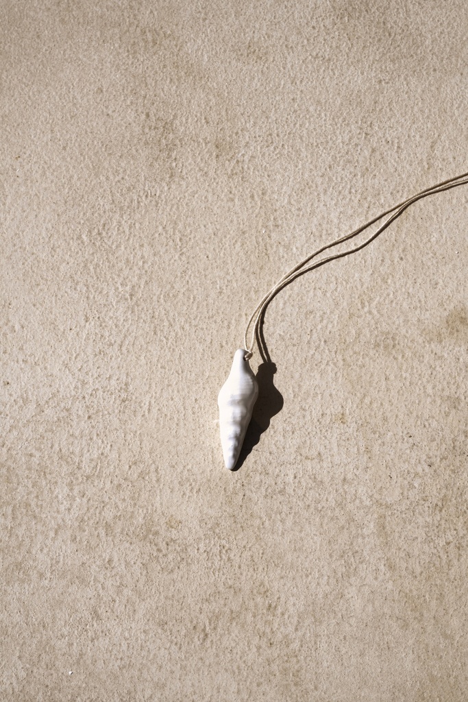 Shell 02